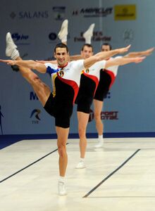 Mircea Brânzea şi Mircea Zamfir, pe podium la Cupa Suzuki de la Tokyo